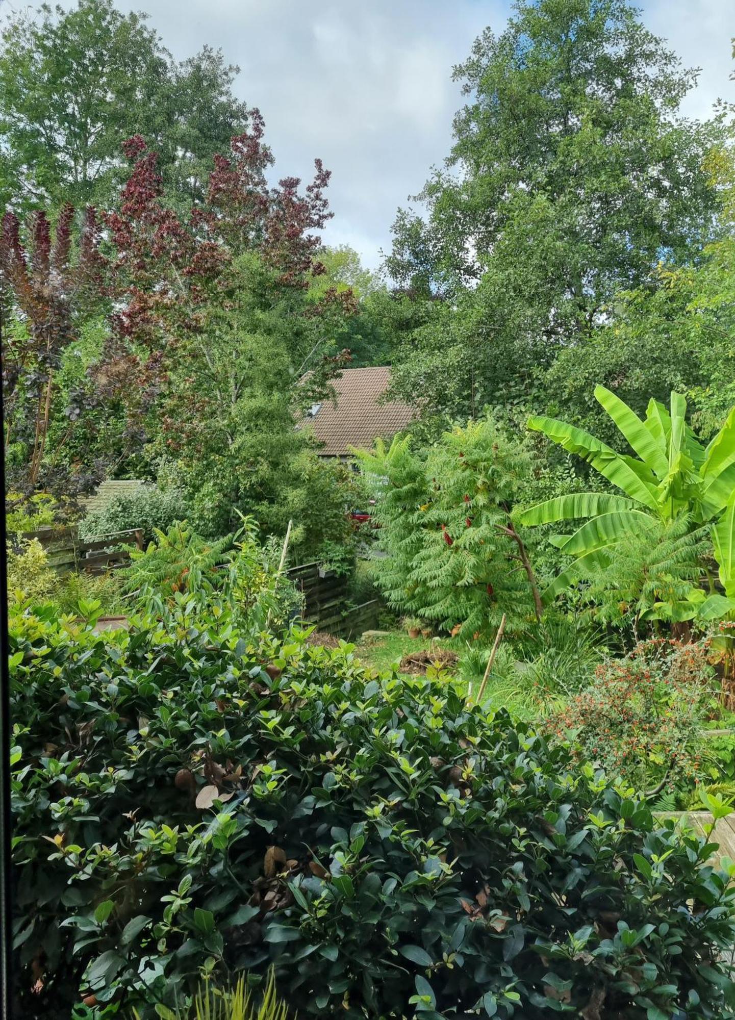 Belle Maison D'Art Verdoyante & Jardin Saint-Rémy-lès-Chevreuse 外观 照片