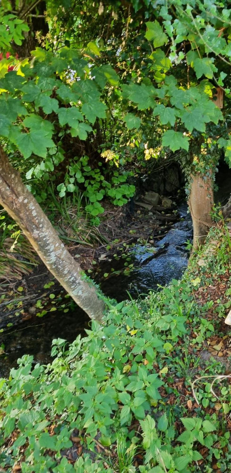 Belle Maison D'Art Verdoyante & Jardin Saint-Rémy-lès-Chevreuse 外观 照片