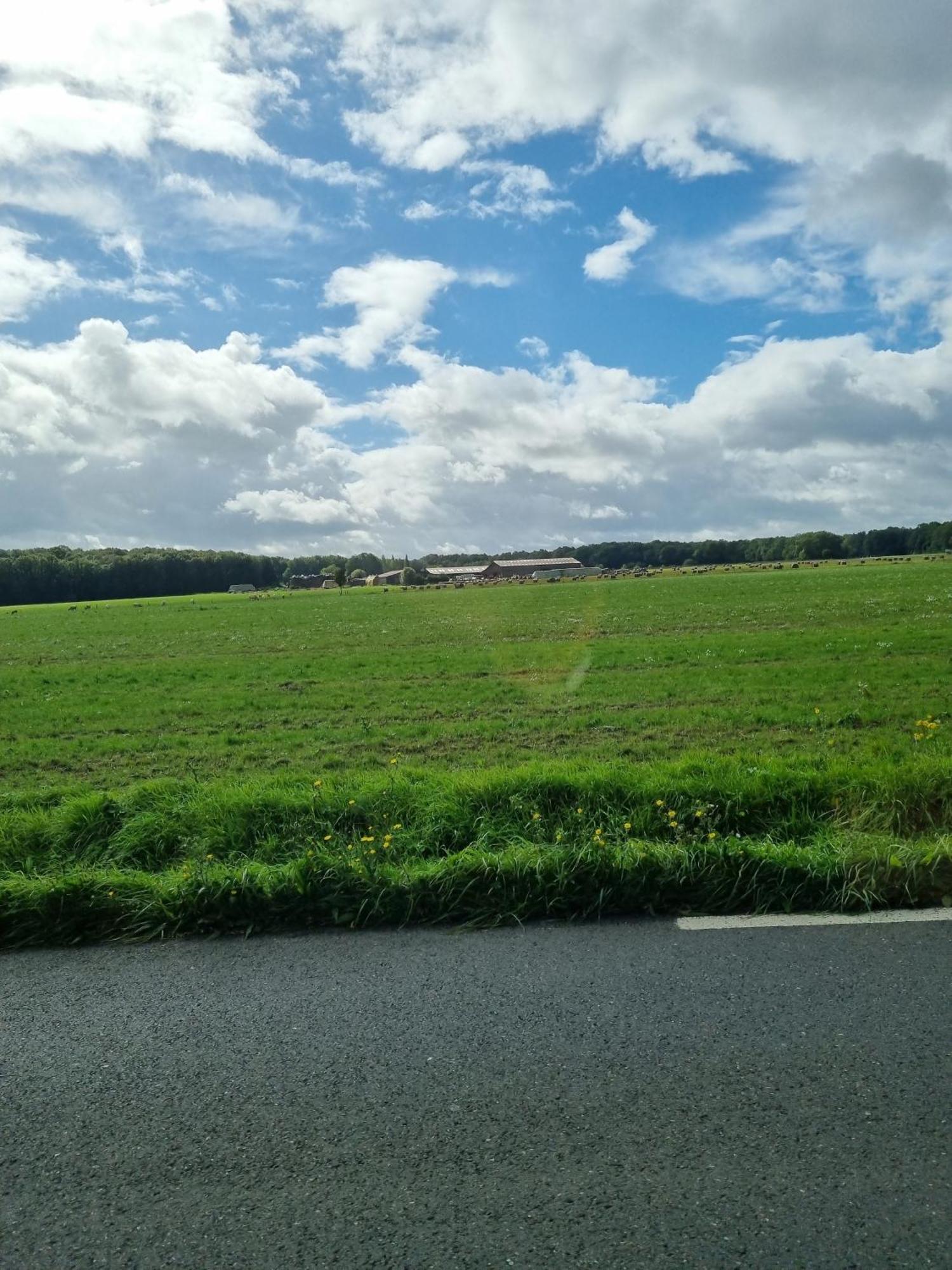 Belle Maison D'Art Verdoyante & Jardin Saint-Rémy-lès-Chevreuse 外观 照片